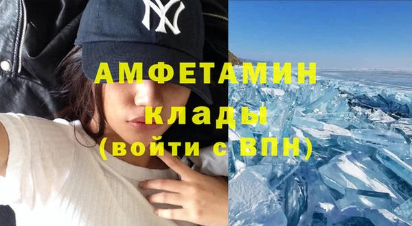 спиды Богородицк