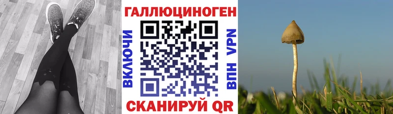 Псилоцибиновые грибы Psilocybine cubensis  Купить  Данков 